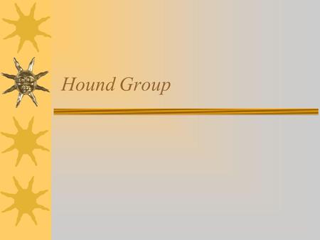 Hound Group.  May be the oldest purebred dogs.  They are a very diverse lot with a common ancestral trait used for hunting.  They can be used for sight.