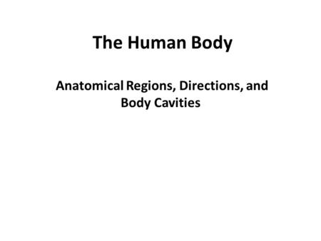 Anatomical Regions, Directions, and Body Cavities