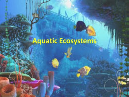 Aquatic Ecosystems. What is an aquatic ecosystem? In Spanish, the word “agua” means “water”. In Italian, the word “acqua” means “water”. Using those word.