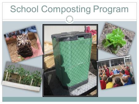 School Composting Program. Photo Gallery Ideas so far…  Grade 1/2 and 3/4 buddy classes to set up and maintain a composting program at school.  Reintroduce.