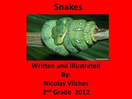 Snakes Written and Illustrated By: Nicolas Vilches 2 nd Grade 2012.