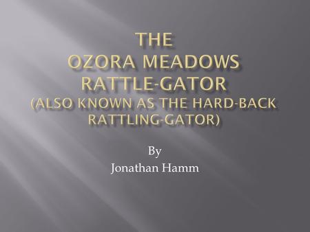 By Jonathan Hamm. I first discovered the Hard-Back Rattling-Gator when I was in Ozora Meadow woods in Tribble Mill Park in Lawrenceville, Georgia.
