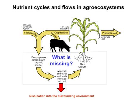 Nutrient cycles and flows in agroecosystems Dissipation into the surrounding environment What is missing?