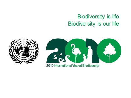 Biodiversity is life Biodiversity is our life. Biodiversity is life Biodiversity is our life.