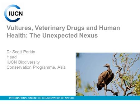 INTERNATIONAL UNION FOR CONSERVATION OF NATURE Vultures, Veterinary Drugs and Human Health: The Unexpected Nexus Dr Scott Perkin Head IUCN Biodiversity.