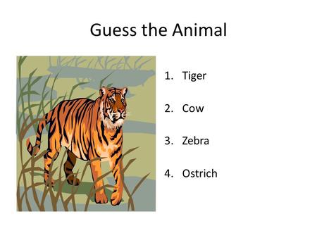 Guess the Animal 1.Tiger 2.Cow 3.Zebra 4.Ostrich.
