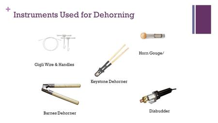+ Instruments Used for Dehorning Gigli Wire & Handles Disbudder Barnes Dehorner Keystone Dehorner Horn Gouge/
