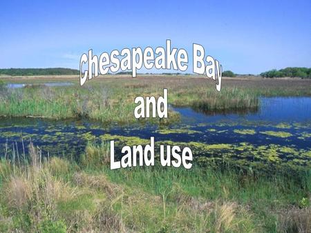 Chesapeake Bay and Land Use. Land Use Issues in Bay Watershed Herbicides and Pesticides Herbicides and Pesticides Fertilizer Fertilizer Sediment Runoff.