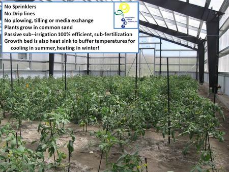 No Sprinklers No Drip lines No plowing, tilling or media exchange Plants grow in common sand Passive sub--irrigation 100% efficient, sub-fertilization.