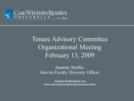 Tenure Advisory Committee Organizational Meeting February 13, 2009 Amanda Shaffer, Interim Faculty Diversity Officer
