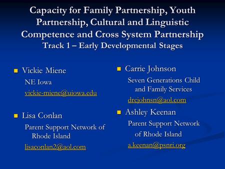 Capacity for Family Partnership, Youth Partnership, Cultural and Linguistic Competence and Cross System Partnership Track 1 – Early Developmental Stages.