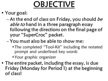 OBJECTIVE Your goal: –At the end of class on Friday, you should be able to hand in a three paragraph essay following the directions on the final page of.