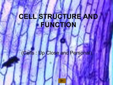 1 CELL STRUCTURE AND FUNCTION (Cells : Up Close and Personal)