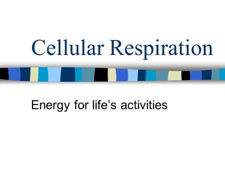 Cellular Respiration Energy for life’s activities.