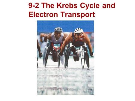 9-2 The Krebs Cycle and Electron Transport