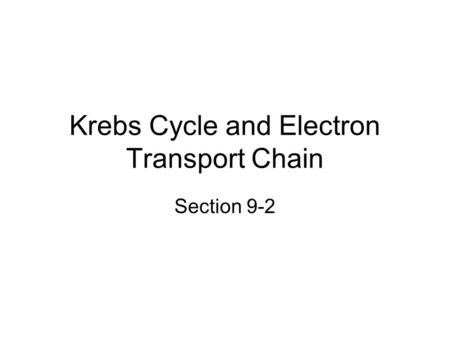Krebs Cycle and Electron Transport Chain