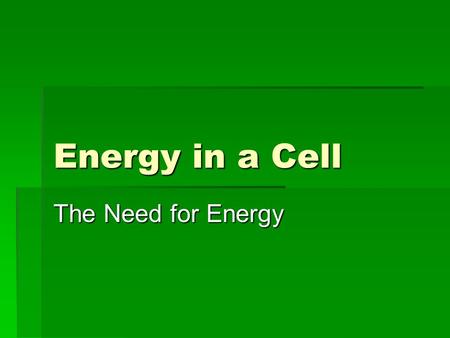 Energy in a Cell The Need for Energy. Cell Energy Autotrophs – make their own food Heterotrophs must get energy from consuming other organisms.