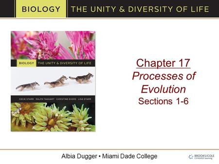 Albia Dugger Miami Dade College Chapter 17 Processes of Evolution Sections 1-6.