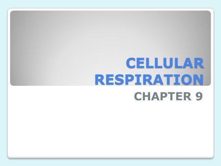CELLULAR RESPIRATION CHAPTER 9.