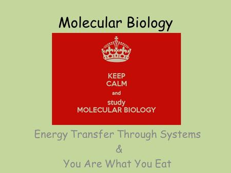 Molecular Biology Energy Transfer Through Systems & You Are What You Eat.