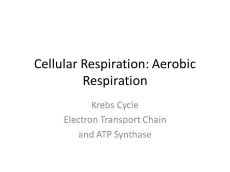 Cellular Respiration: Aerobic Respiration Krebs Cycle Electron Transport Chain and ATP Synthase.