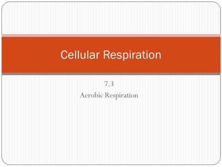 Cellular Respiration 7.3 Aerobic Respiration.