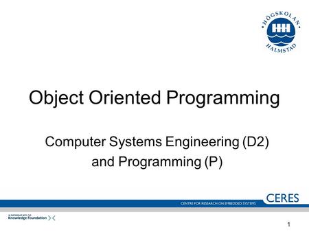 1 Object Oriented Programming Computer Systems Engineering (D2) and Programming (P)