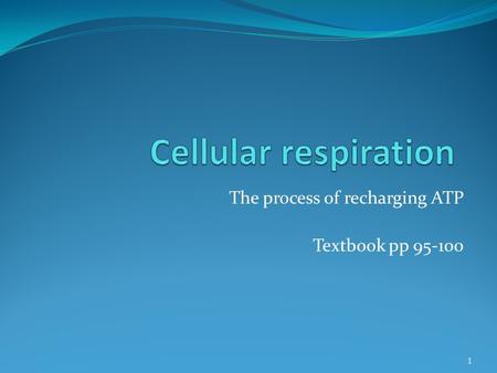 The process of recharging ATP Textbook pp