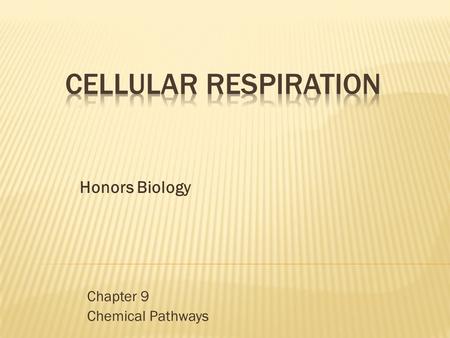 Chapter 9 Chemical Pathways Honors Biology. Energy in Food: What is the difference between a: calorie(lower case c) and Calorie (upper case C)? -A calorie.