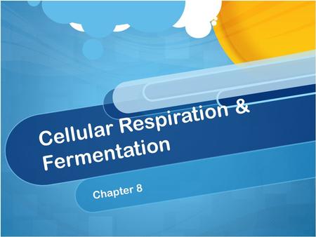 Cellular Respiration & Fermentation Chapter 8. Cell Respiration All organisms need energy from food. They obtain this energy through a process called.