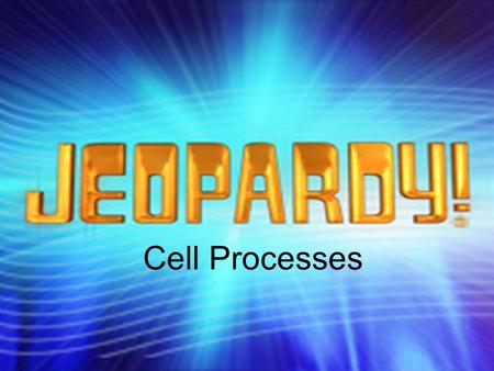 Cell Processes. What’s in a formula? VocabularyFermentationCell Cycle 200 400 600 800 1000 Bonus Question: 5000 pts.