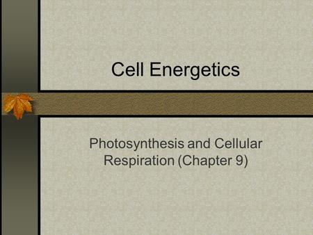 Cell Energetics Photosynthesis and Cellular Respiration (Chapter 9)