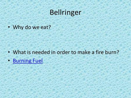 Bellringer Why do we eat? What is needed in order to make a fire burn?