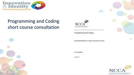 Programming and Coding short course consultation.