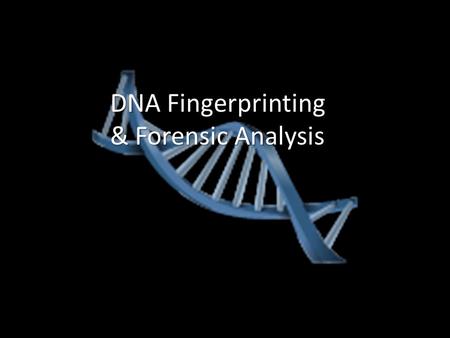 DNA Fingerprinting & Forensic Analysis. How is DNA Typing Performed? Only one-tenth of 1% of DNA differs in each person; this variation can create.