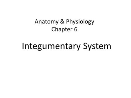 Anatomy & Physiology Chapter 6