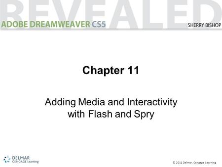 © 2011 Delmar, Cengage Learning Chapter 11 Adding Media and Interactivity with Flash and Spry.