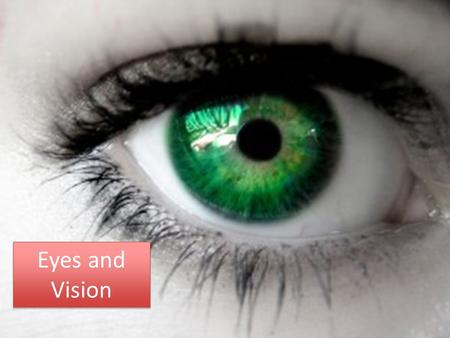Eyes and Vision. Objective 1.5 Explains methods of protecting eyes and vision.