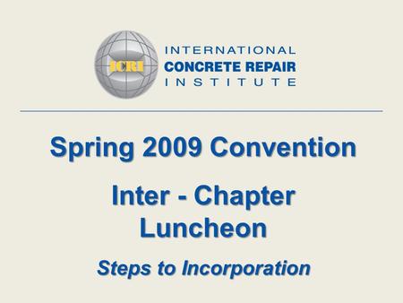 Spring 2009 Convention Inter - Chapter Luncheon Steps to Incorporation.