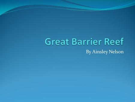 By Ainsley Nelson. size the Great Barrier Reef is made of 2,900 individual reefs the Great Barrier Reef is 1,600 miles long the Great Barrier Reef is.