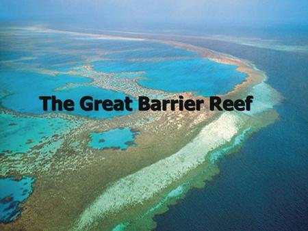 The Great Barrier Reef. Basic Facts Located off Northeastern Australia Located off Northeastern Australia 1,240 miles long 1,240 miles long More than.