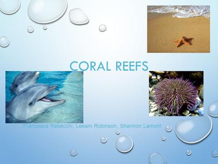 Coral Reefs Francesca Rebecchi, Leeam Robinson, Shannon Lamont.