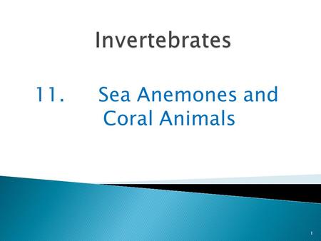 11. Sea Anemones and Coral Animals