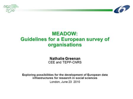 MEADOW: Guidelines for a European survey of organisations Nathalie Greenan CEE and TEPP-CNRS Exploring possibilities for the development of European data.