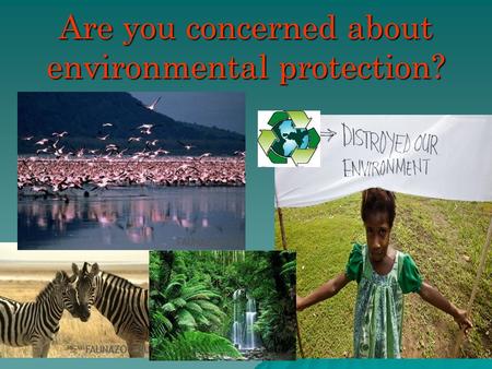 Are you concerned about environmental protection?.
