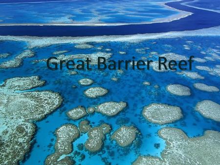 General The Great Barrier Reef is the largest coral reef in the world and was discovered by James Cook in 1770. It is more than 600,000 years old and.