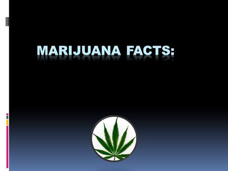 What is Marijuana?  It is a mixture of dried and shredded leaves, stems, seeds, and flowers of the cannabis sativa plant.  The mixture can be brown,