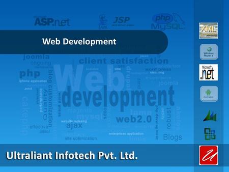 Web Development. BUSINESS & CUSTOMER SEGMENTS Customers in Government Sector Proficient in MLM Software Web based Solution for any Application Expertise.