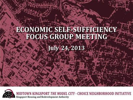 ECONOMIC SELF-SUFFICIENCY FOCUS GROUP MEETING July 24, 2013.