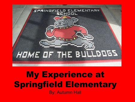 My Experience at Springfield Elementary By: Autumn Hall.